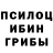 Псилоцибиновые грибы Magic Shrooms Mukanov Nikolai