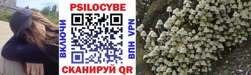 Галлюциногенные грибы GOLDEN TEACHER Ивантеевка