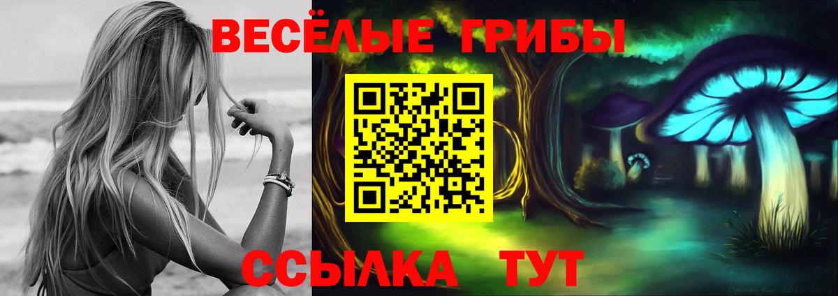 Псилоцибиновые грибы MAGIC MUSHROOMS  цена наркотик  Вход с VPN  Ивантеевка  Галлюциногенные грибы Psilocybine cubensis 